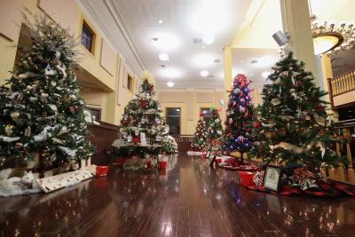 Image of Festival of Trees in Building