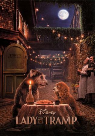 Lady and the Tramp Poster